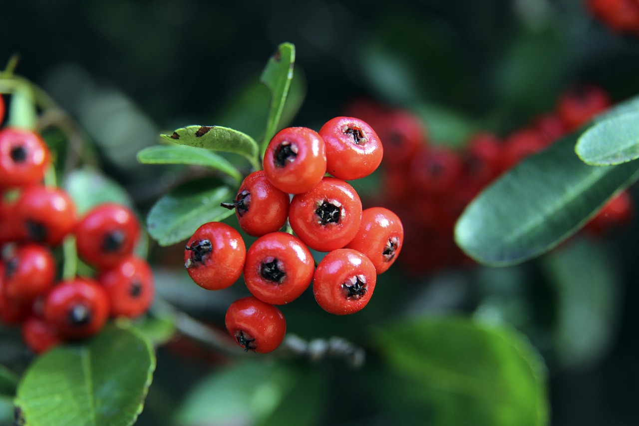 这项实绩显 这项实绩显