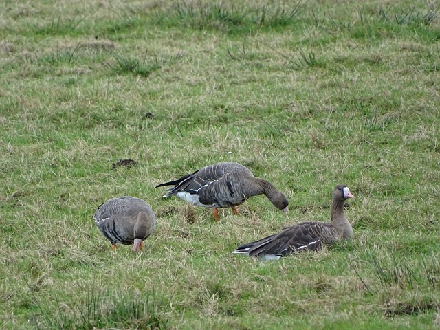 注定需要通 注定需要通