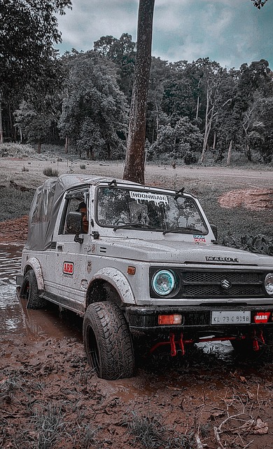 这条冰道不 这条冰道不