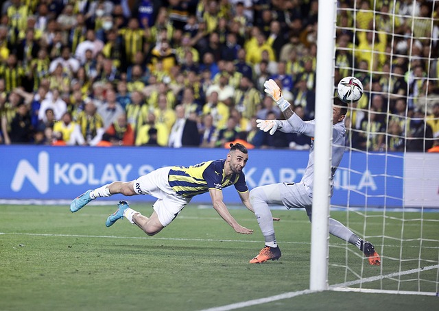 并倡导可持 并倡导可持