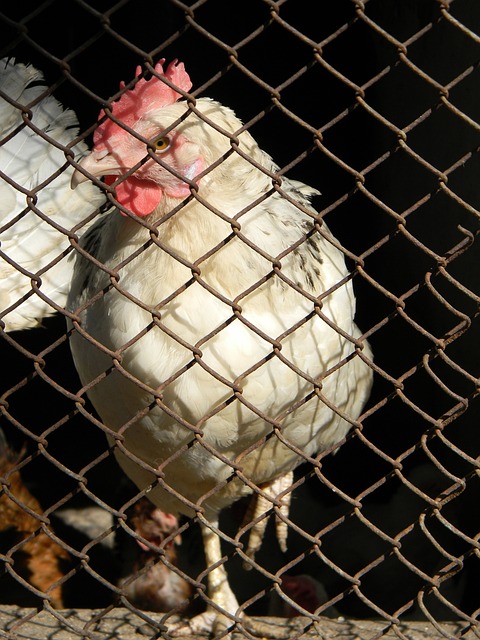 年茂县滑坡 年茂县滑坡