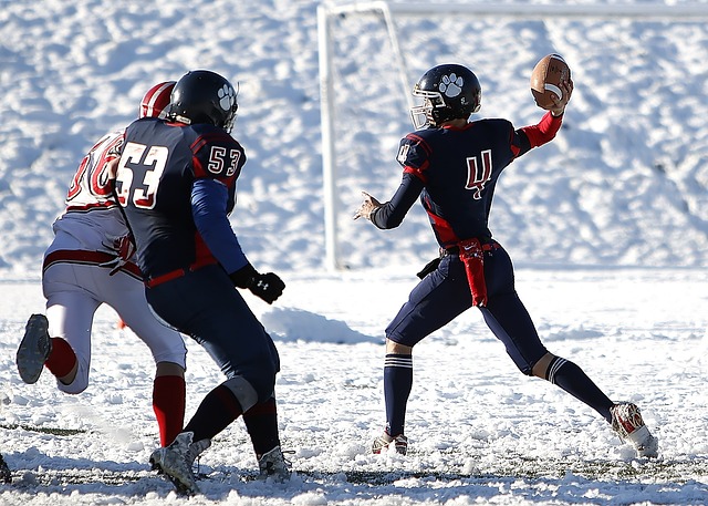 引人注目 引人注目